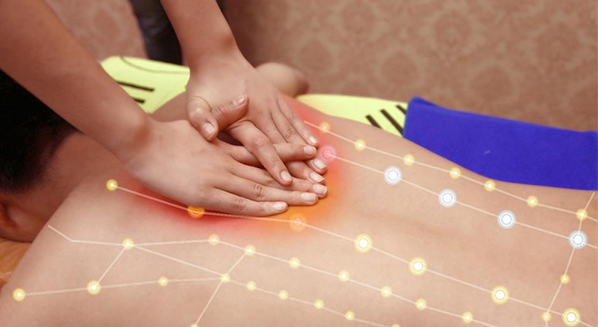 Massage điện sinh học DDS